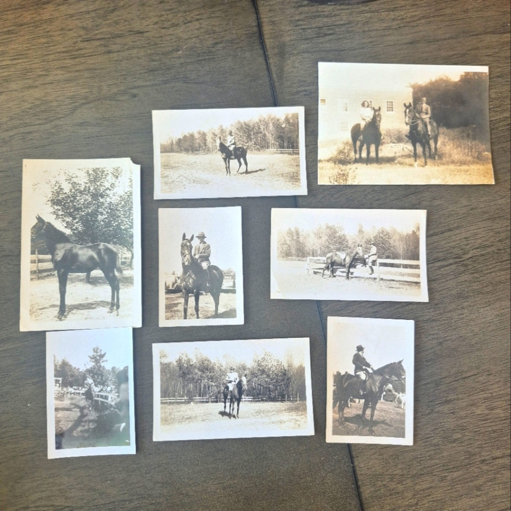 Vintage Horse Photography Collection 1940s